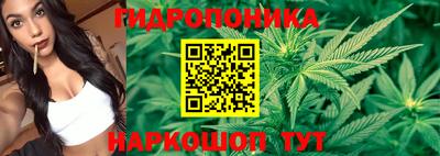 мдма Аргун