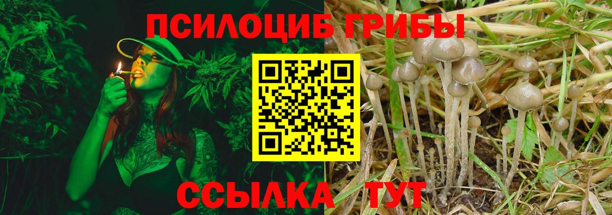Галлюциногенные грибы MAGIC MUSHROOMS  закладки  Ачинск  Вход с VPN  Галлюциногенные грибы GOLDEN TEACHER 